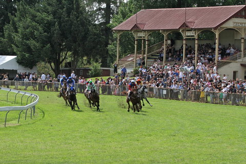 Tumut Derby Day - Darwin Holiday 0