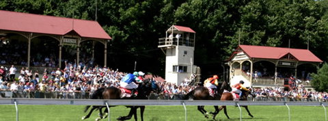 Tumut Derby Day - Darwin Holiday 1