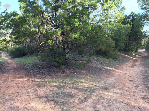 Victoria Park Moonta Monthly Walks - Darwin Holiday 1