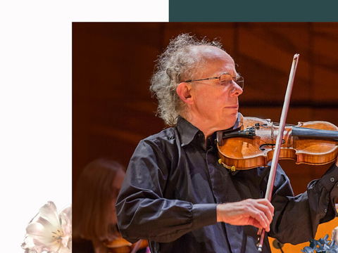 Vivaldi's Four Seasons - Darwin Holiday 0