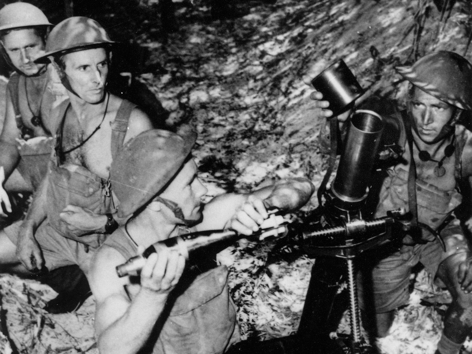 Bongaree QLD Darwin Holiday