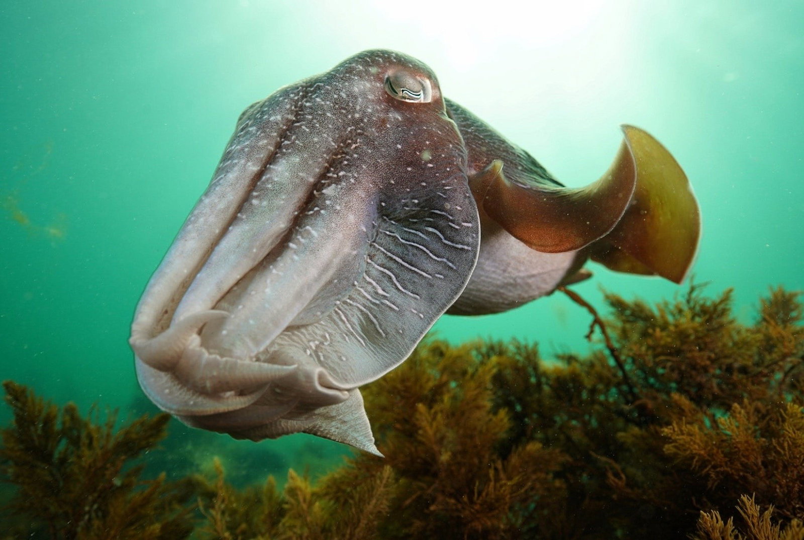 Whyalla SA Darwin Holiday