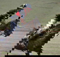 Wirragulla Annual Polo Tournament - Darwin Holiday