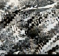 Yamba Farmers and Producers Market - Darwin Holiday