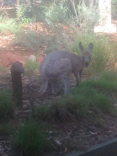 Queensland Winter Craft Festival - Darwin Holiday 4