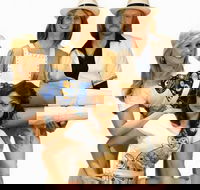 ABBA's Back - Darwin Holiday