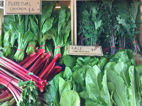 Albury Wodonga Farmers Market - Darwin Holiday 0