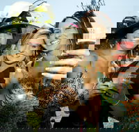 Albury Racing Club January Race Day - Darwin Holiday