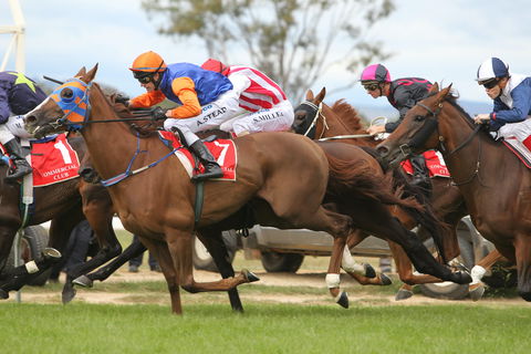 Albury Racing Club January Race Day - Darwin Holiday 1