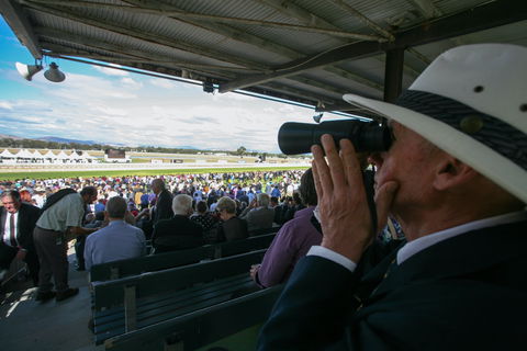 Albury Racing Club January Race Day - Darwin Holiday 2