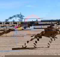 Bedourie Camel and Pig Races and Camp oven Cook-off - Darwin Holiday