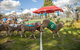 Caragabal Sheep Races - thumb 0