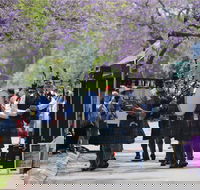 Celtic Festival of Queensland