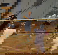 Charlton Badminton Club Ladies Tournament