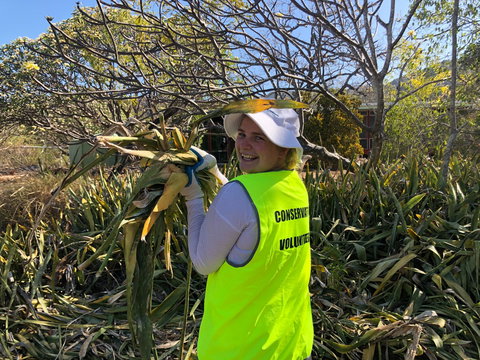 Conservation Volunteers Australia Townsville - Beach Scrub Conservation - Darwin Holiday 0