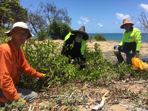 Conservation Volunteers Australia Townsville - Beach Scrub Conservation - Darwin Holiday 2