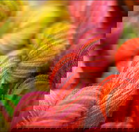 Creative Fibre - Darwin Holiday