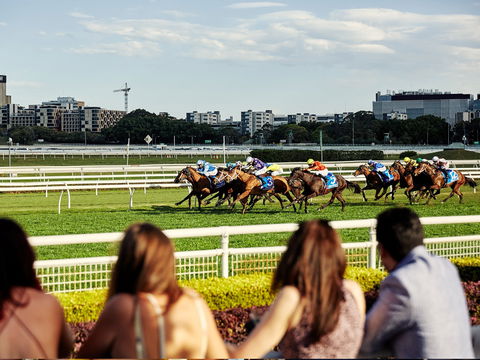 Cup Day - Darwin Holiday 1