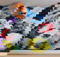 Cuttle-Rock Challenge - CUTTLEFEST 2020 - Whyalla - Darwin Holiday