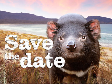 Cygnet Market - Darwin Holiday 0