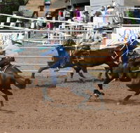 Dalgety Team Penning