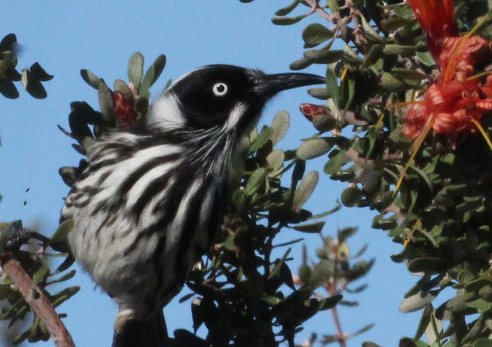 Windabout WA Darwin Holiday