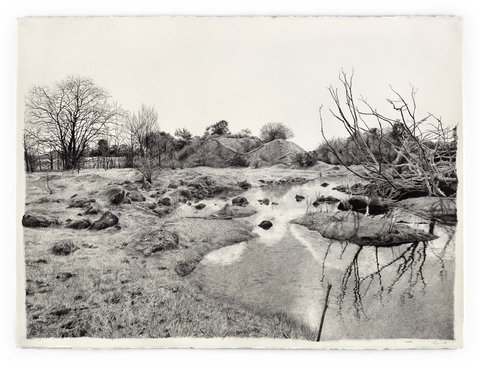 EXHIBITION: LILY MAE MARTIN: OVERBURDEN - Darwin Holiday 3