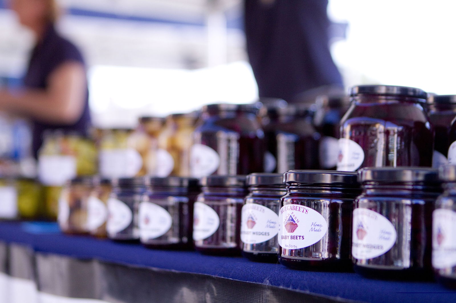 Laidley QLD Darwin Holiday