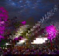 Fleurieu Film Festival - Darwin Holiday