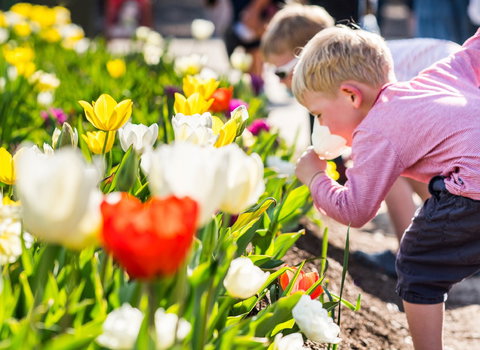 Floriade: Reimagined - Darwin Holiday 1
