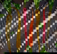 Food for Good Festival