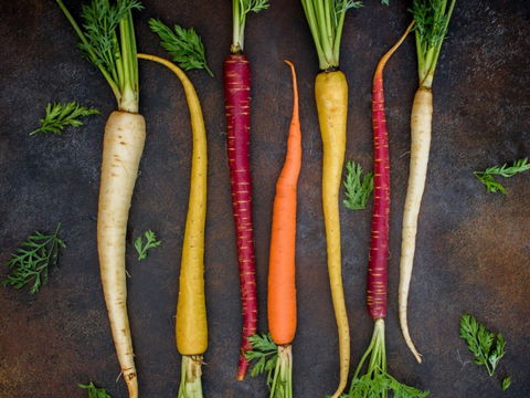 Food For Good Festival - Darwin Holiday 0