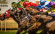 Foodies Race Day And Night Markets - thumb 1