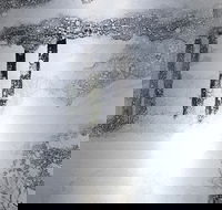 Fragile environment - stockroom display - Darwin Holiday