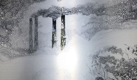 Fragile Environment - Stockroom Display - Darwin Holiday 0