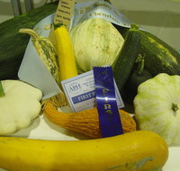 Goulburn Show - Darwin Holiday