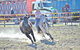 Gresford  Campdraft And Rodeo - thumb 0