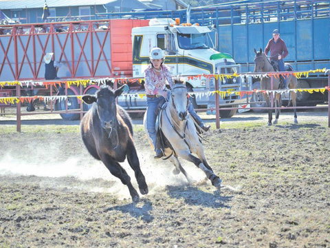 Gresford  Campdraft And Rodeo - Darwin Holiday 0
