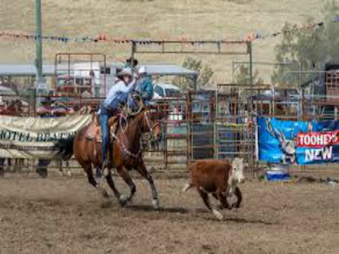 Gresford  Campdraft And Rodeo - Darwin Holiday 1
