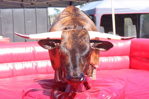 Gundaroo Music Festival - Darwin Holiday 2