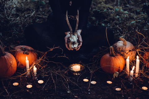 Hallows' Eve - Darwin Holiday 5