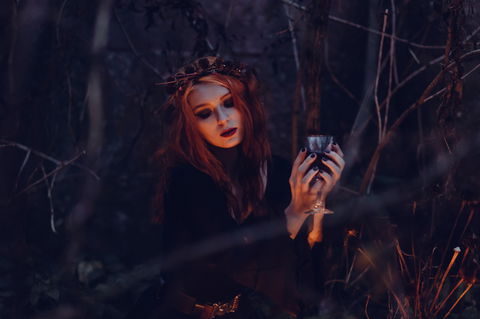 Hallows' Eve - Darwin Holiday 6