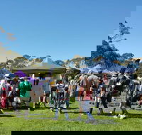 Hanging Rock Makers Market