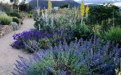 Highfield Gardens - Darwin Holiday 0