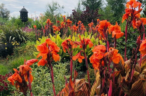 Highfield Gardens - Darwin Holiday 1