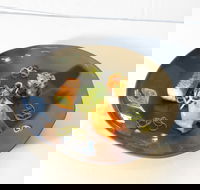 How to Cook Fish Class - Darwin Holiday