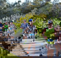 Husky Half Running Festival - Darwin Holiday