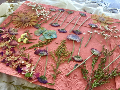 Introduction To Paper Making - Darwin Holiday 0