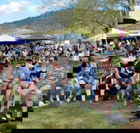 Jamming at Jingellic