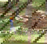 July 2020 Holidays- Go Wild at the Mt Lofty Adventure Hub - Darwin Holiday